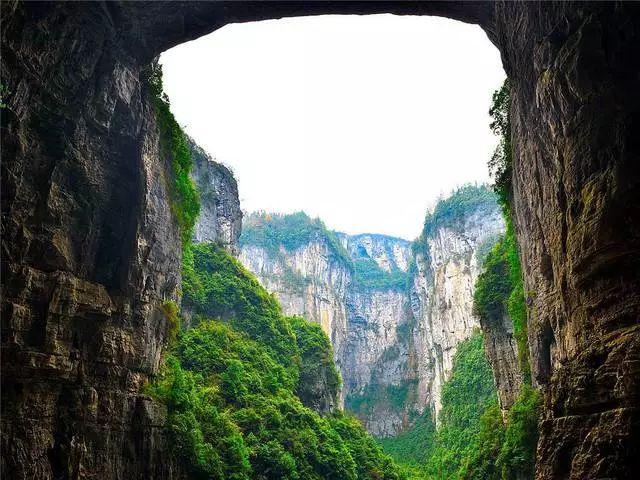 虫虫助手下载